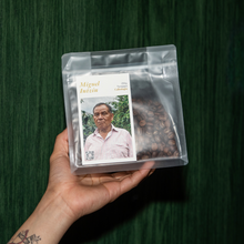 Cargar imagen en el visor de la galería, Miguel Intzín Guzmán