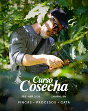 Cargar imagen en el visor de la galería, Curso Cosecha 2026