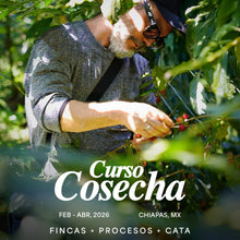 Cargar imagen en el visor de la galería, Curso Cosecha 2026