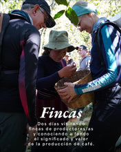 Cargar imagen en el visor de la galería, Curso Cosecha 2026