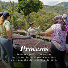 Cargar imagen en el visor de la galería, Curso Cosecha 2026