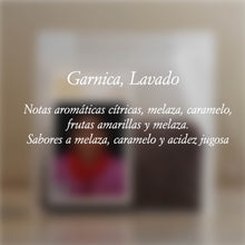 Cargar imagen en el visor de la galería, "Rosa Sántiz Méndez"