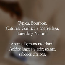 Cargar imagen en el visor de la galería, ¨Cocktail de caracoles"