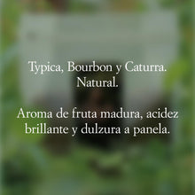 Cargar imagen en el visor de la galería, "Inez"