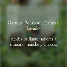 Cargar imagen en el visor de la galería, "Javier"