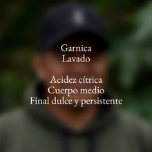 Cargar imagen en el visor de la galería, Severiano Intzín Gómez
