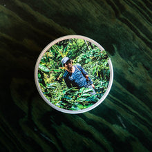 Cargar imagen en el visor de la galería, "Pedro Vázquez"
