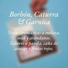 Cargar imagen en el visor de la galería, "Catarina Hernández"
