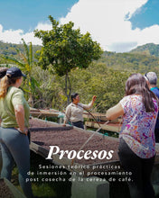 Cargar imagen en el visor de la galería, Curso Cosecha 2026
