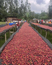 Cargar imagen en el visor de la galería, Viaje de Estudio Etiopía 2026
