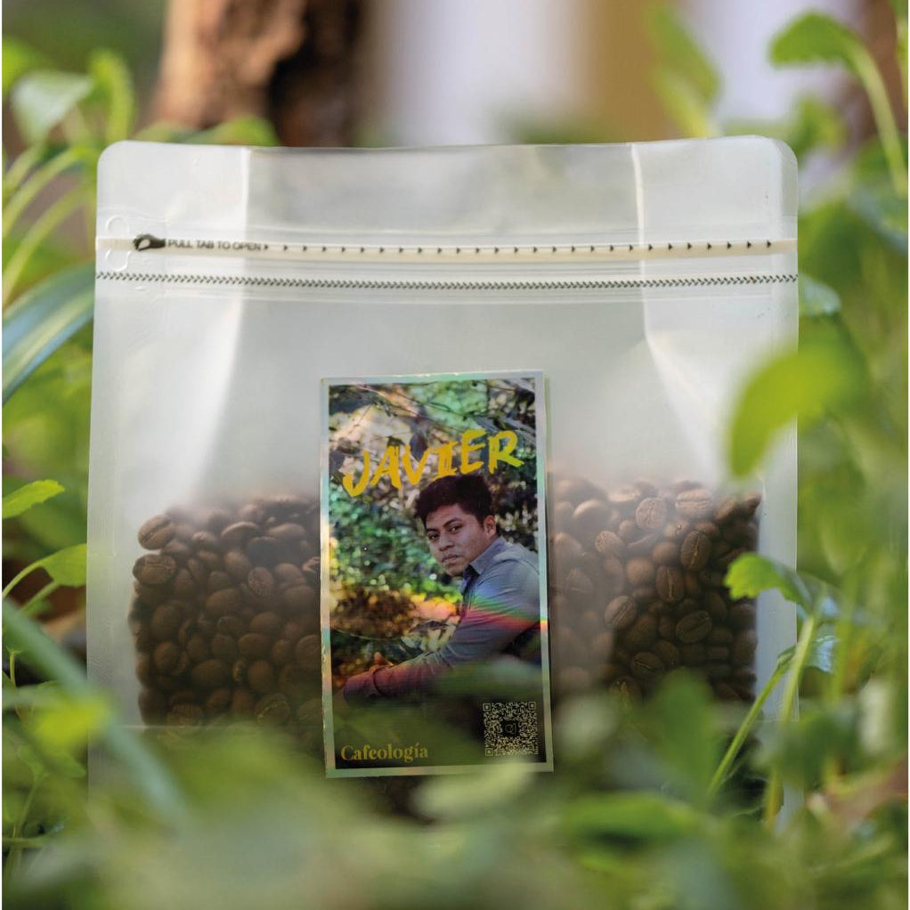 Precio Del Café Cafe Bolsa New York Café Pergamino El Cafe En La