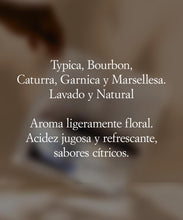 Cargar imagen en el visor de la galería, ¨Cocktail de caracoles&quot;
