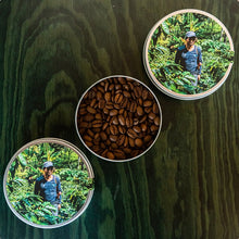 Cargar imagen en el visor de la galería, "Pedro Vázquez"
